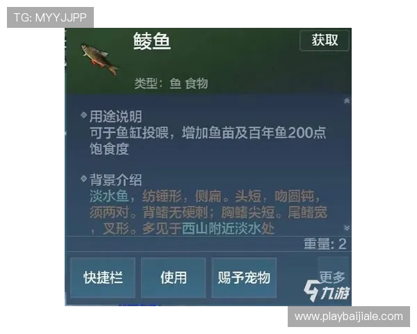 全面解析AG龙虎真人的游戏规则与技巧助你提升胜率