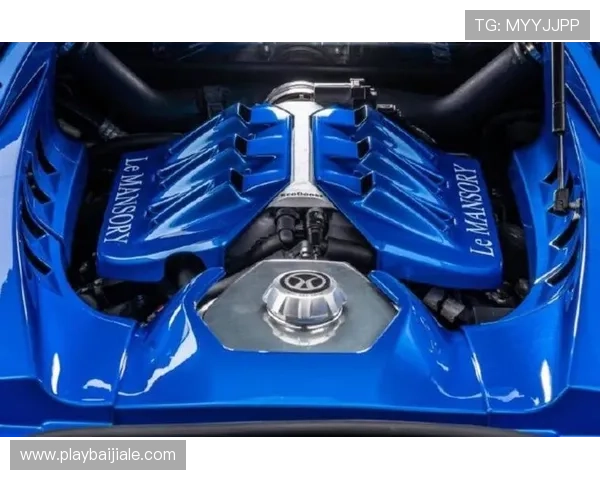 选择优质ag贵宾厅登录线路的实用技巧，提升登录速度与安全保障